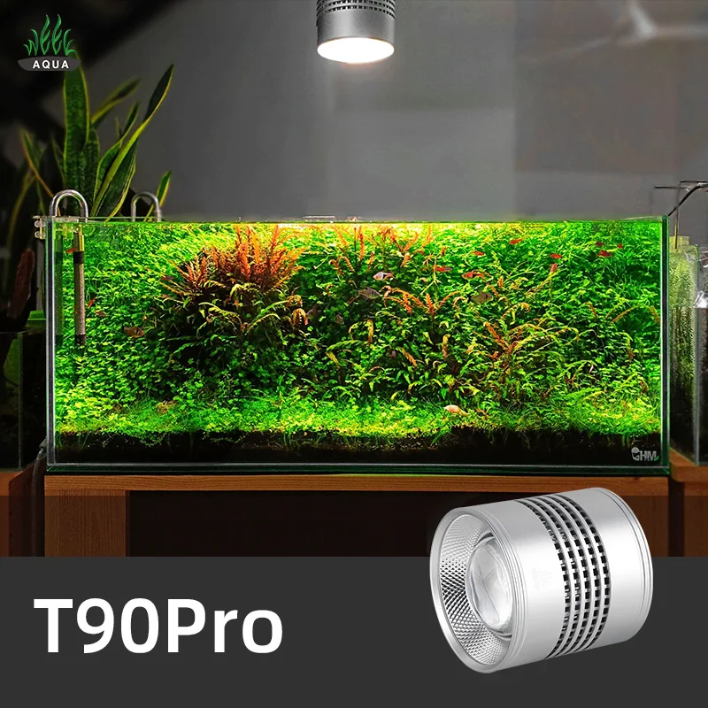 Aquarium Plant Not Growing - Semana aqua série t t90 pro