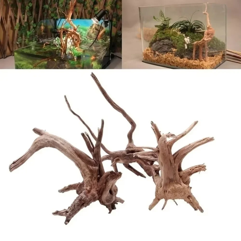 Aquarium Planting Ideas - Decoração de Aquário em Madeira Natural