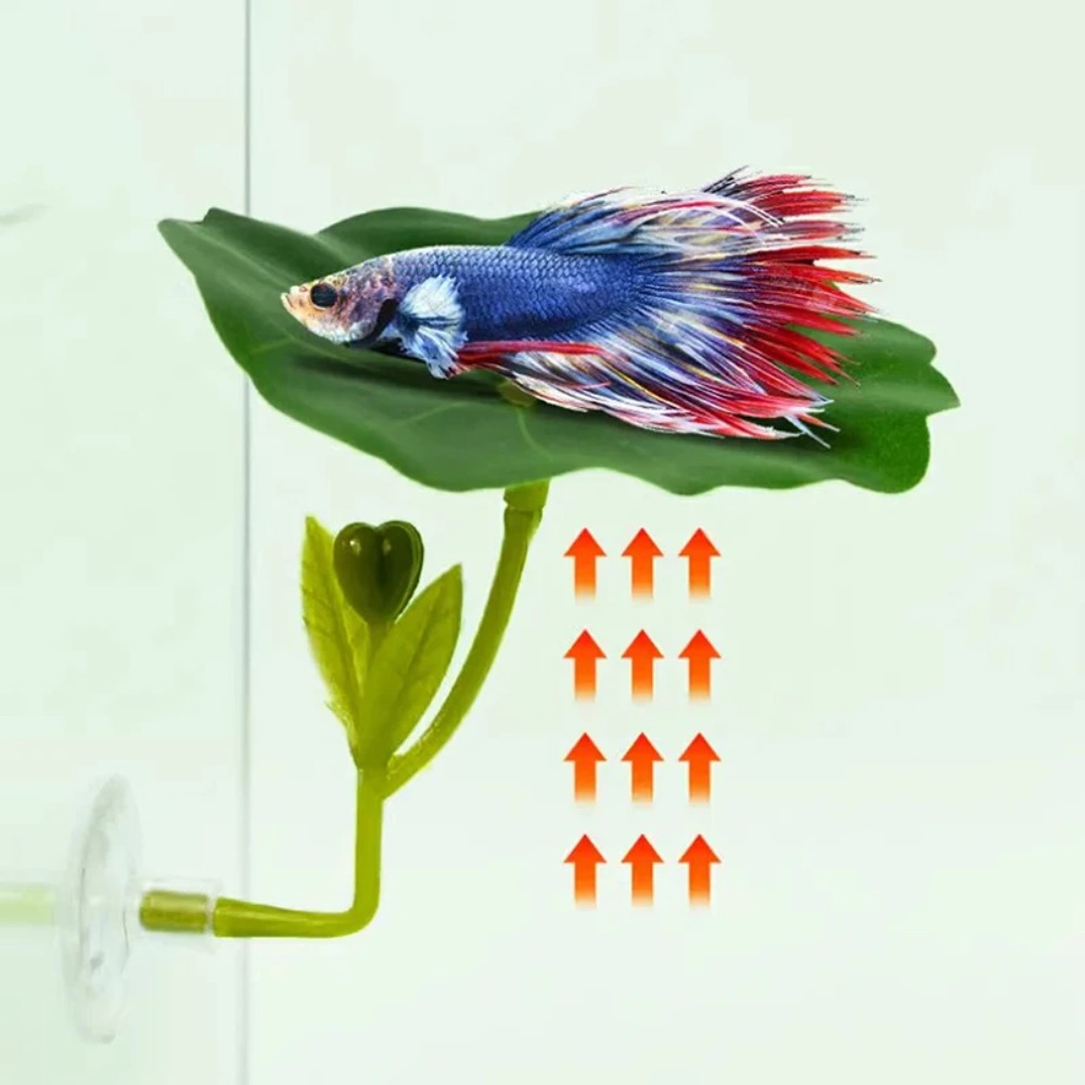 Planted Aquarium Betta - 1 unidade de rede para peixe