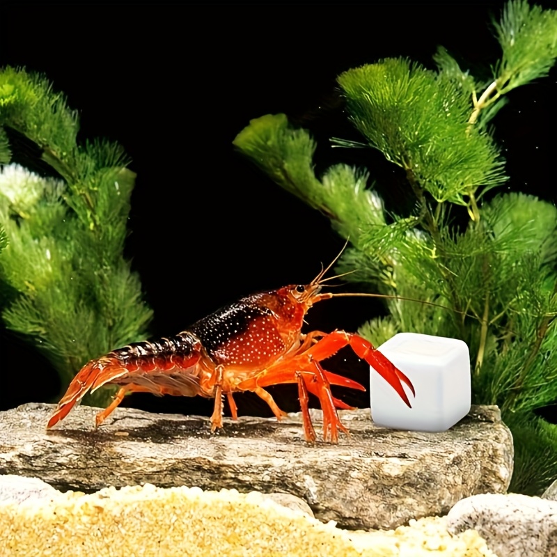 Aquarium Plant Live - 6 pçs tanque de peixes bloco