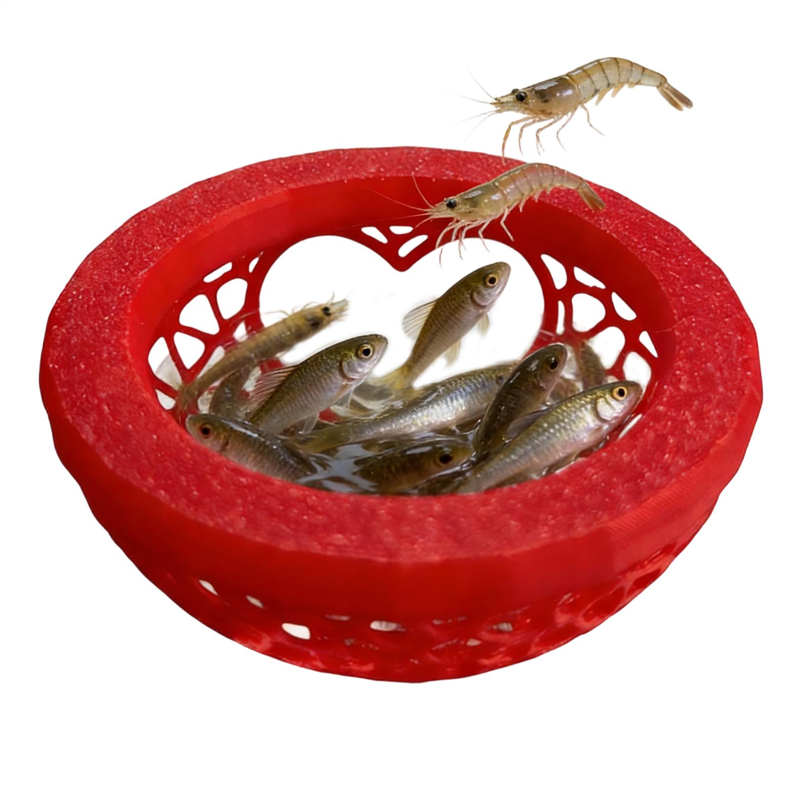 Abrigo flutuante para betta, r - Planted Aquarium Betta avaliação e preço