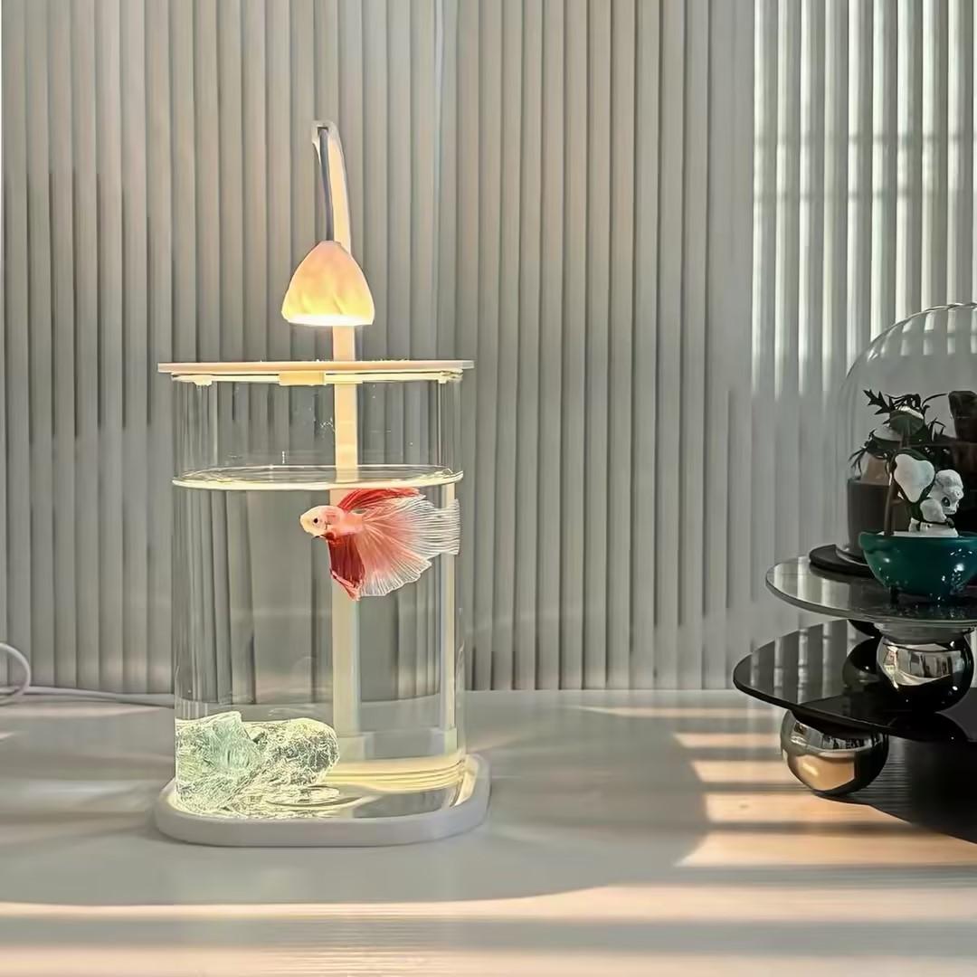 360 °   Aquário Panorâmico Tra - Planted Aquarium Betta avaliação e preço