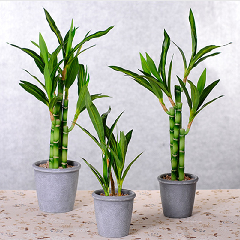 Novo 40cm rftificial sorte bam - Aquarium Plants Book avaliação e preço