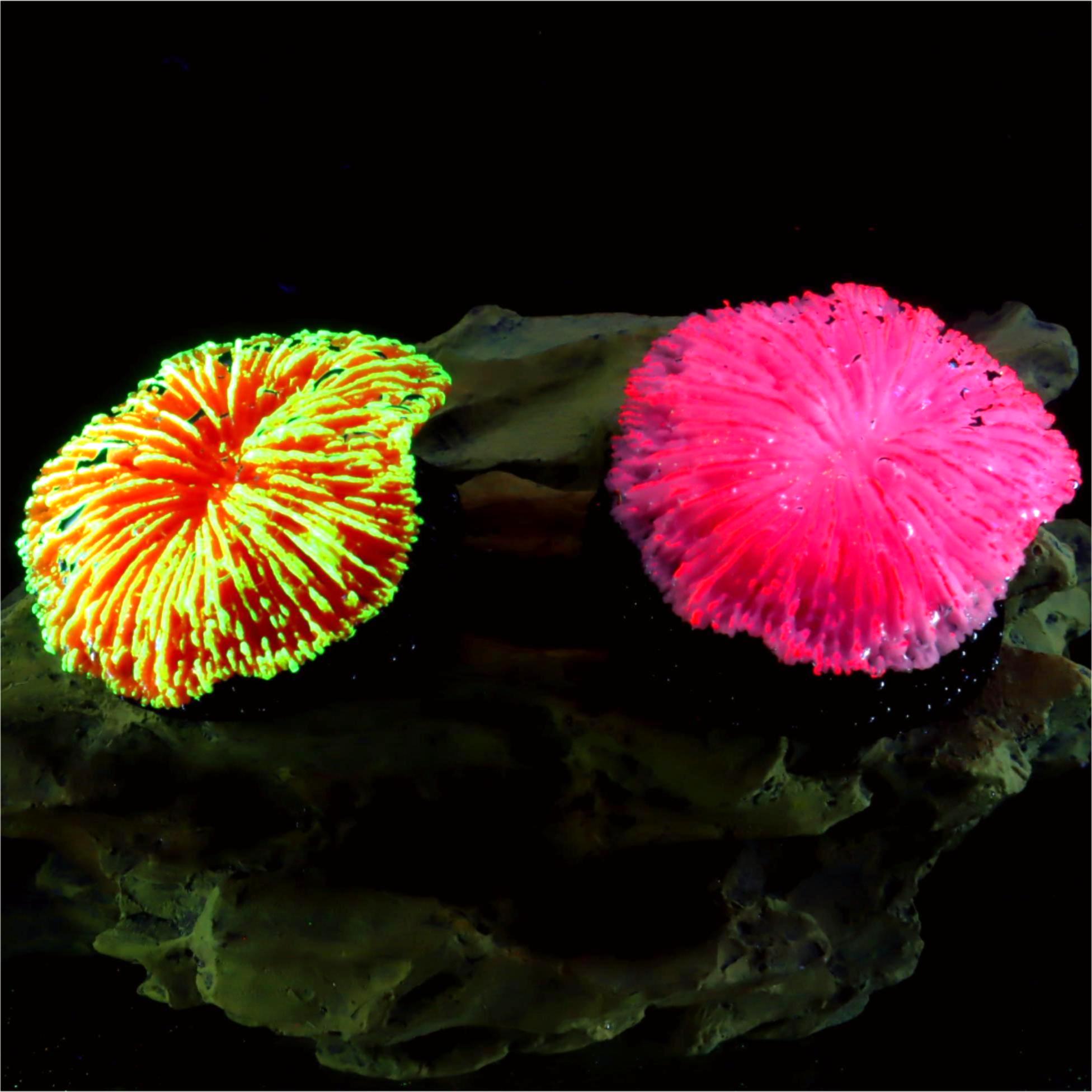 1 piece aquarium decoration sa - Aquarium Plant Live avaliação e preço