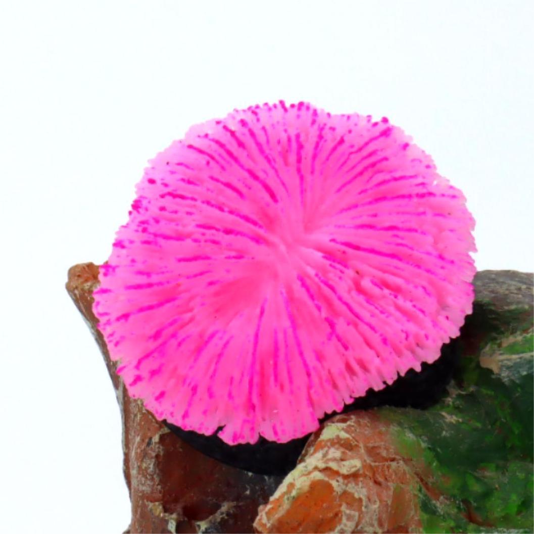 1 piece aquarium decoration sa - Aquarium Plant Live avaliação e preço