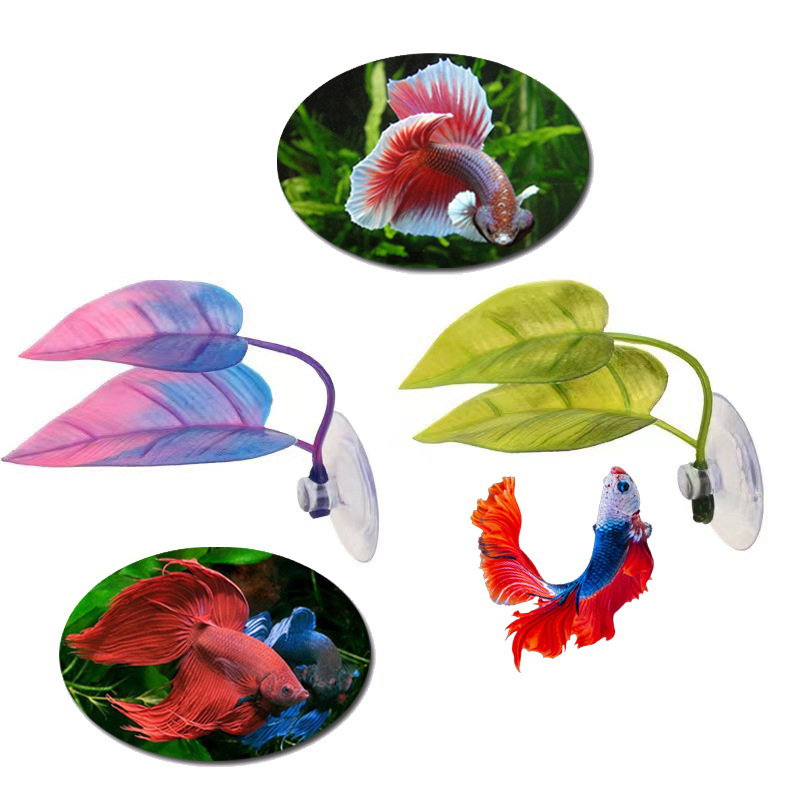 Planta Aquática Artificial par - Planted Aquarium Betta avaliação e preço
