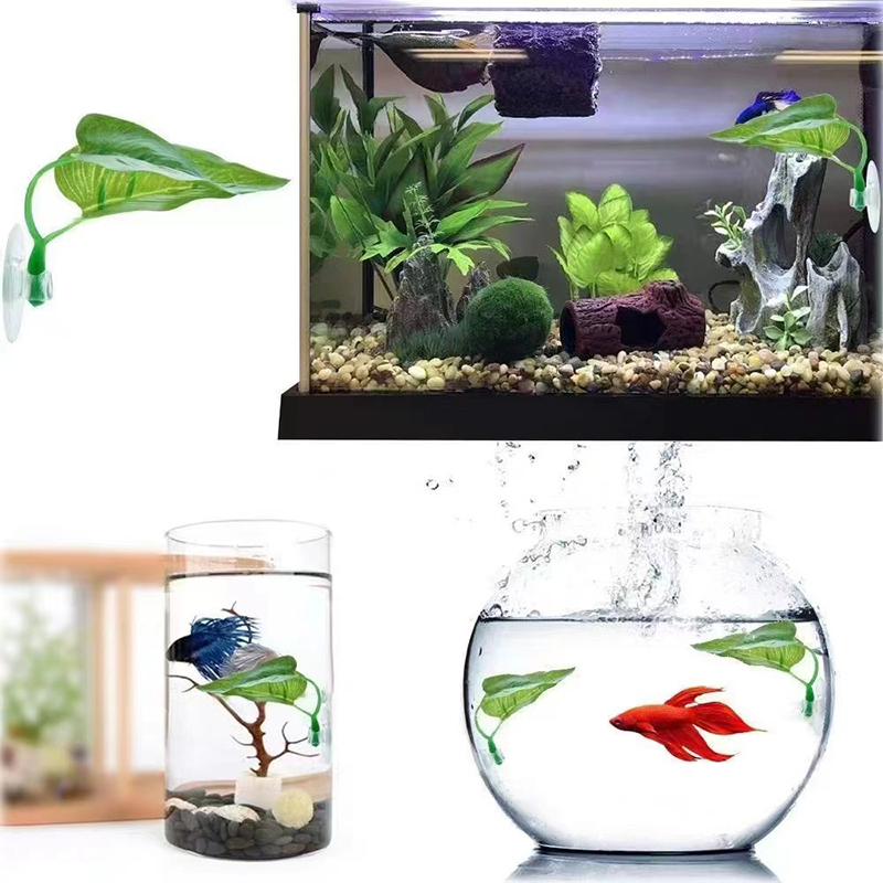 Planta Aquática Artificial par - Planted Aquarium Betta avaliação e preço