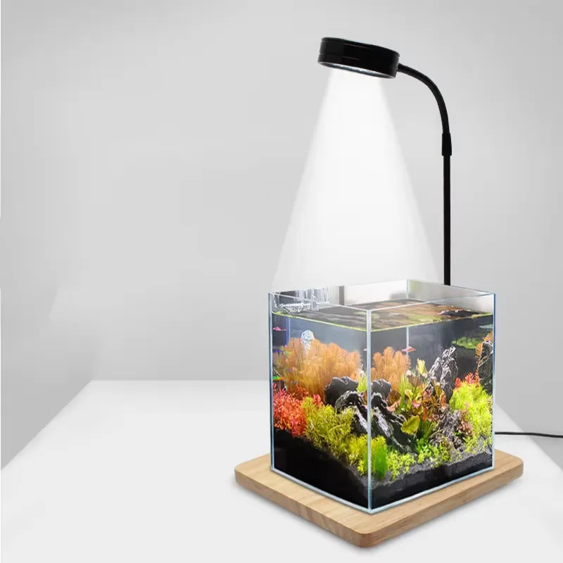 Luz LED de Espectro Completo c - Planted Aquarium Betta avaliação e preço