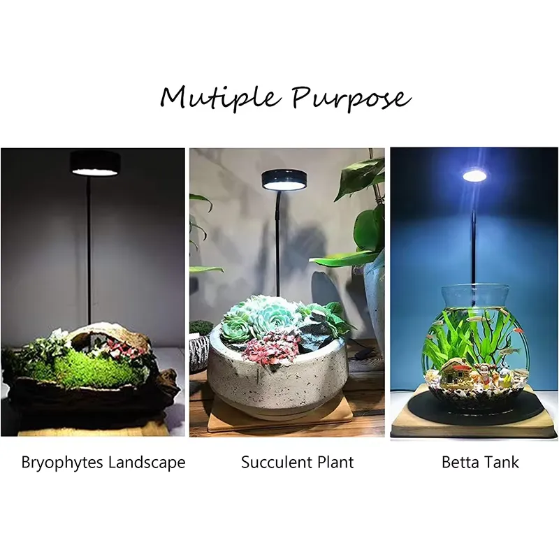 Luz LED de Espectro Completo c - Planted Aquarium Betta avaliação e preço