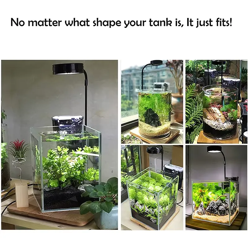 Luz LED de Espectro Completo c - Planted Aquarium Betta avaliação e preço