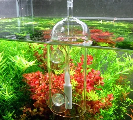 Viv fazer dispositivo cilindro - Aquarium Plant Live avaliação e preço