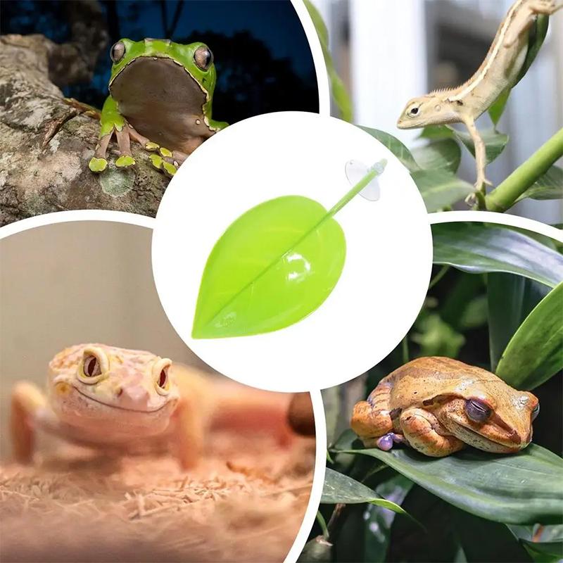 Acessórios para Aquário: Folha - Planted Aquarium Betta avaliação e preço