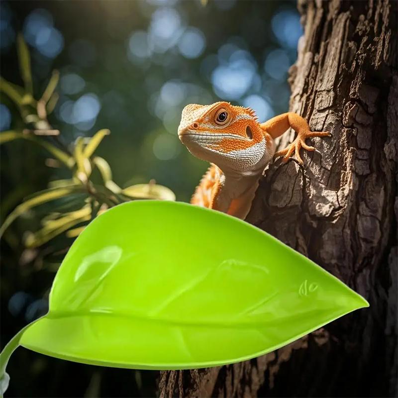 Acessórios para Aquário: Folha - Planted Aquarium Betta avaliação e preço
