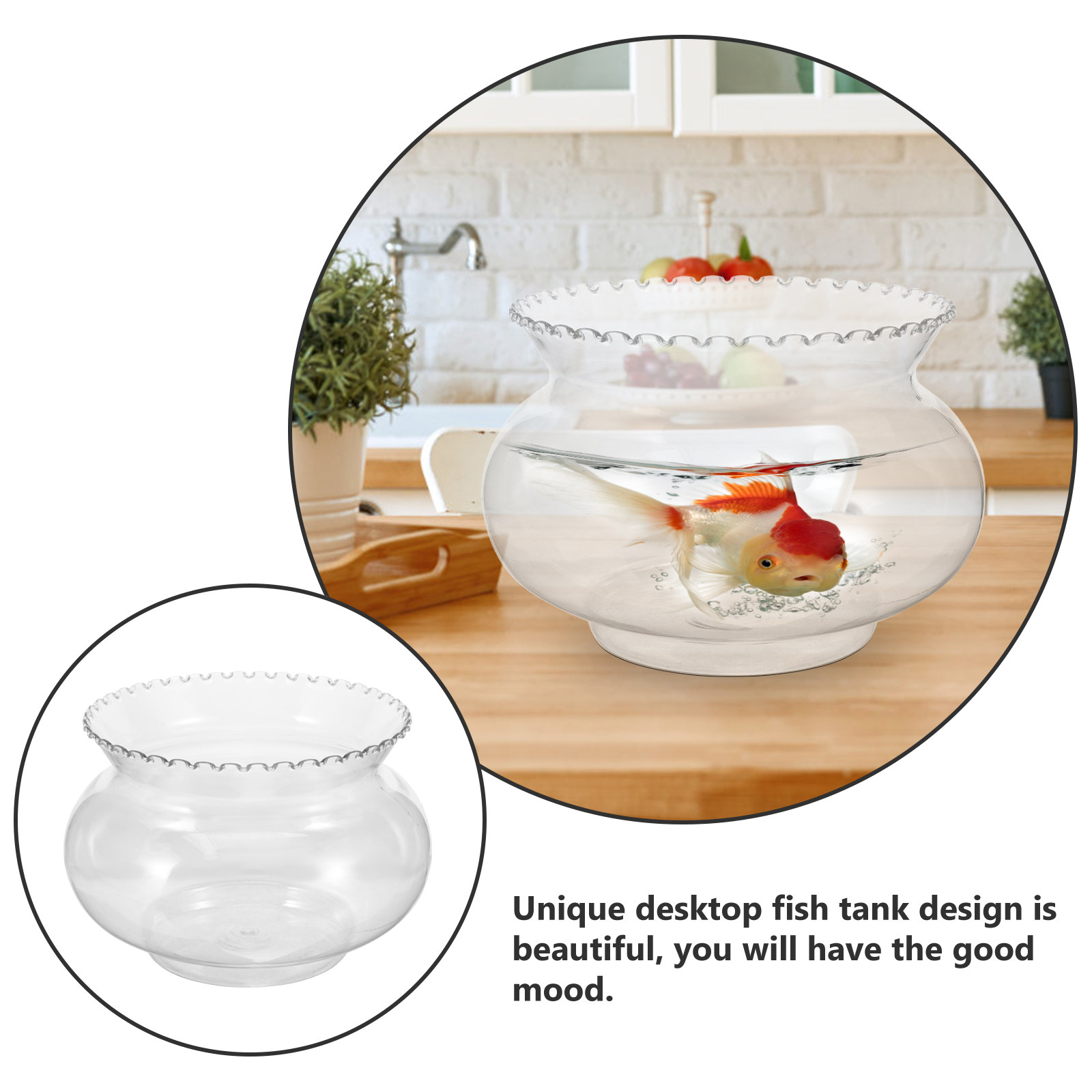 Aquário de Mesa de Plástico Mu - Planted Aquarium Betta avaliação e preço