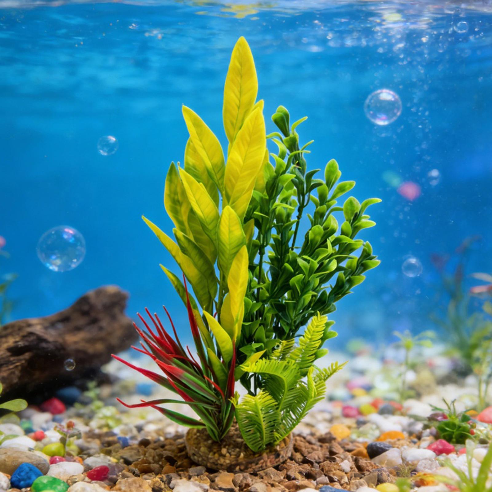 Plantas Artificiais para Aquár - Planted Aquarium Betta avaliação e preço