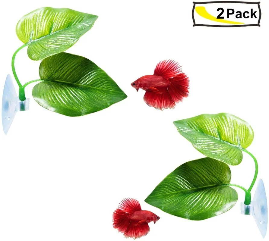 Rede de folhas de peixe Betta  - Planted Aquarium Betta avaliação e preço
