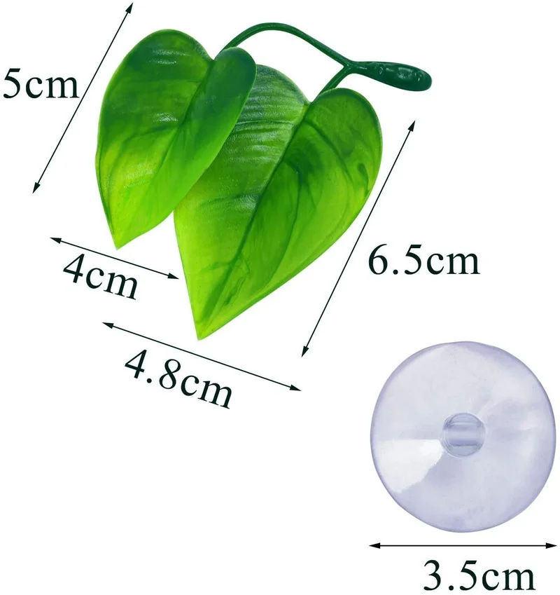 Rede de folhas de peixe Betta  - Planted Aquarium Betta avaliação e preço