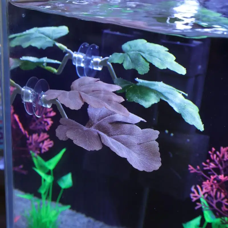 Betta folha de peixe rede aquá - Planted Aquarium Betta avaliação e preço