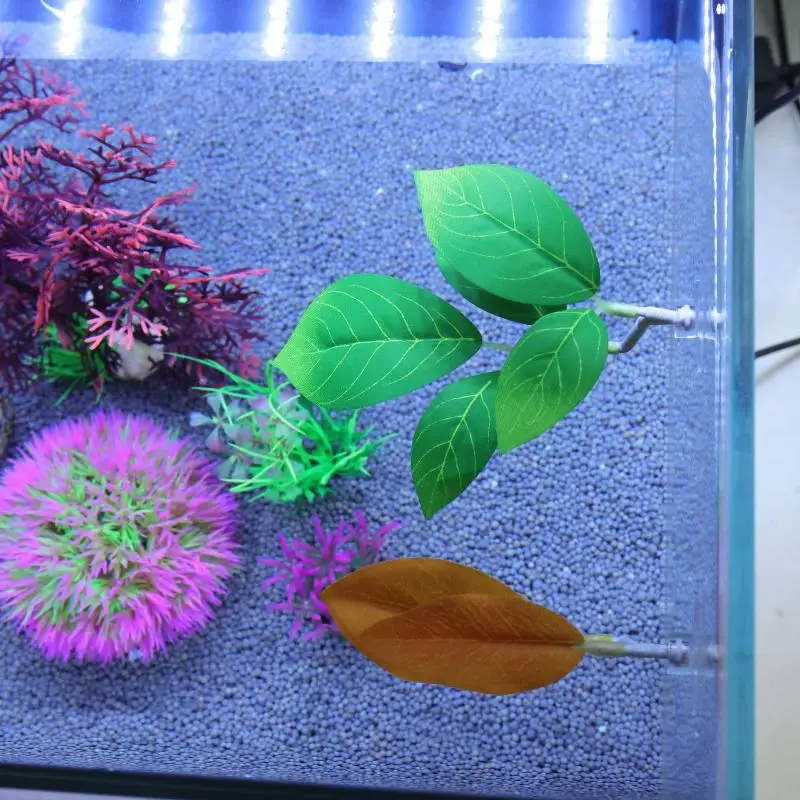 Betta folha de peixe rede aquá - Planted Aquarium Betta avaliação e preço
