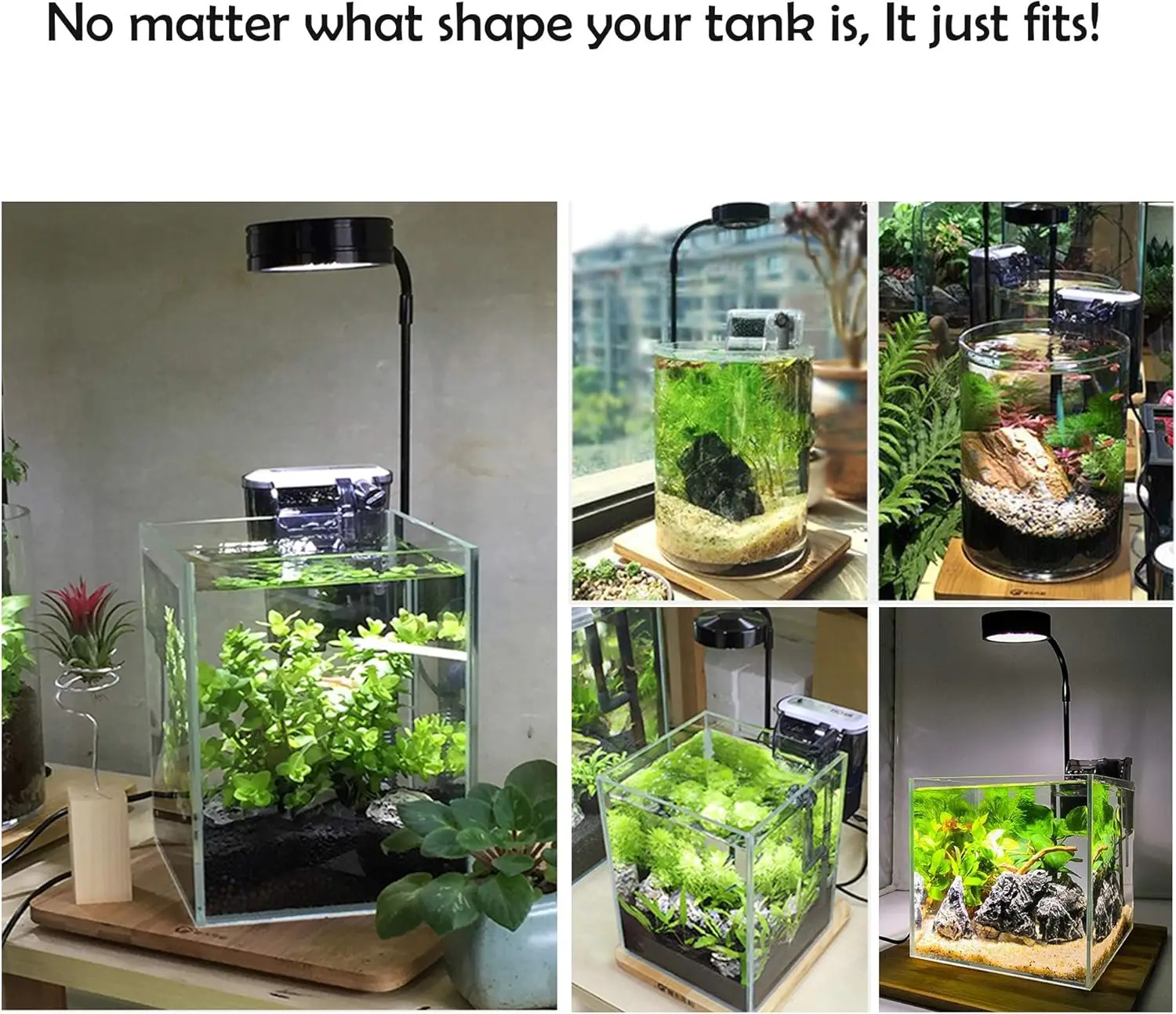 Luz led para cultivo de aquári - Planted Aquarium Betta avaliação e preço