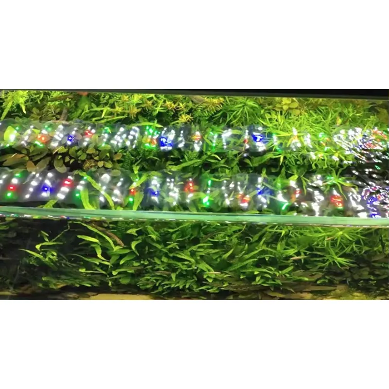 Lâmpada LED para Aquário com C - Planted Aquarium Hours avaliação e preço