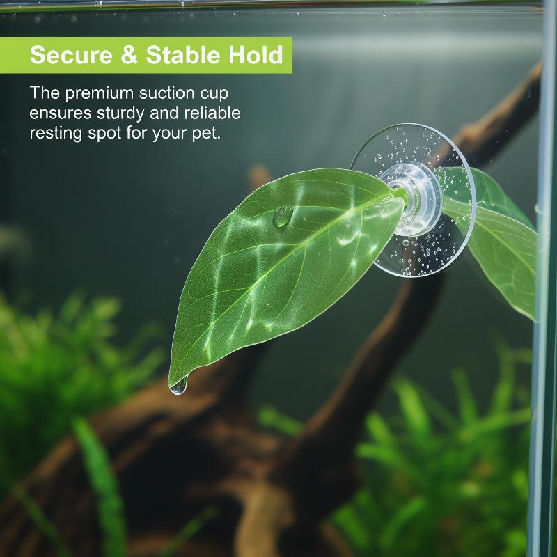 Acessórios para Aquário: Folha - Planted Aquarium Betta avaliação e preço