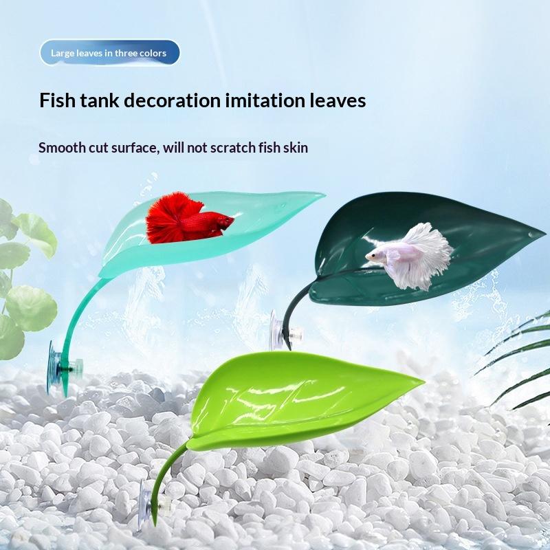 Acessórios para Aquário: Folha - Planted Aquarium Betta avaliação e preço