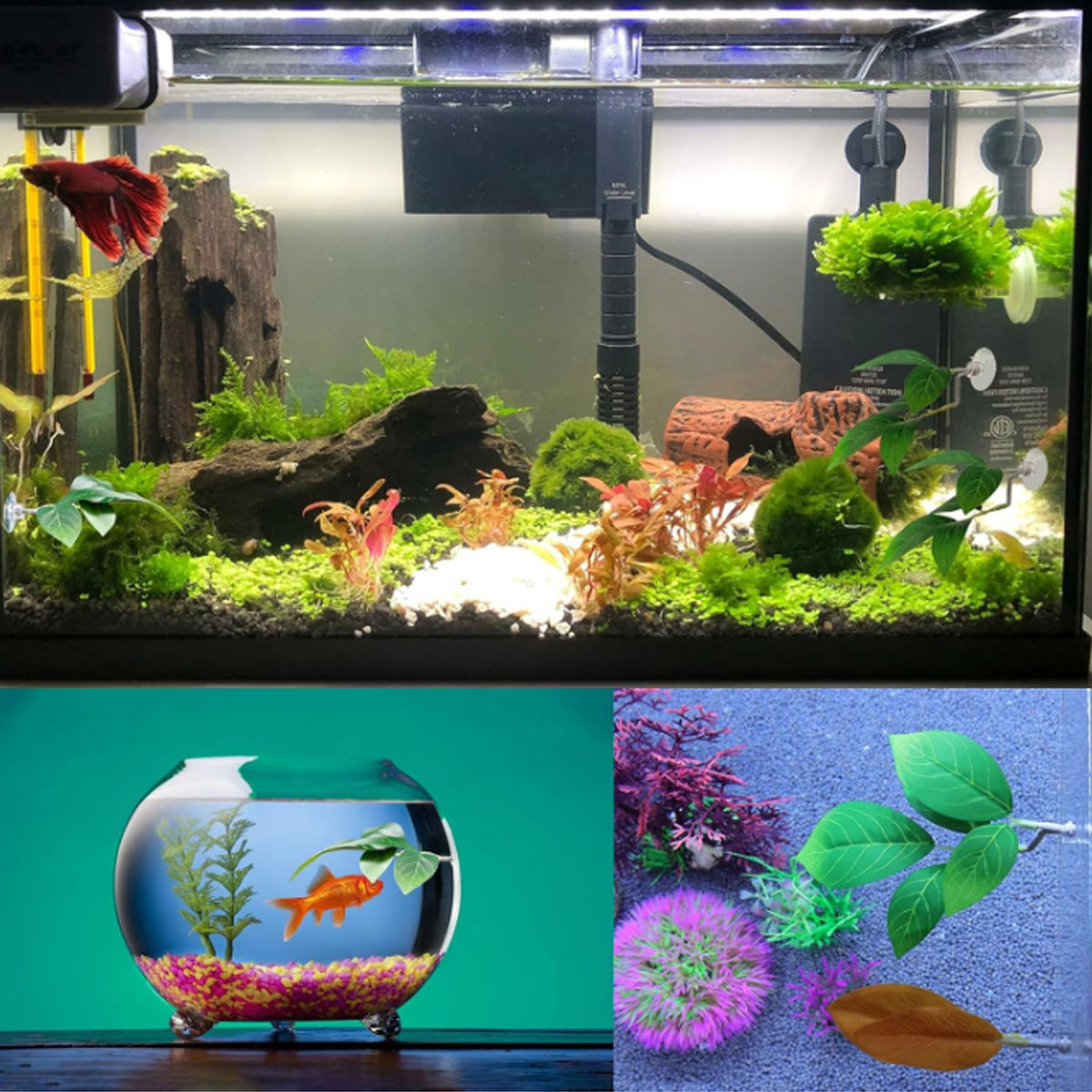 1 Rede de Descanso para Peixe  - Planted Aquarium Betta avaliação e preço