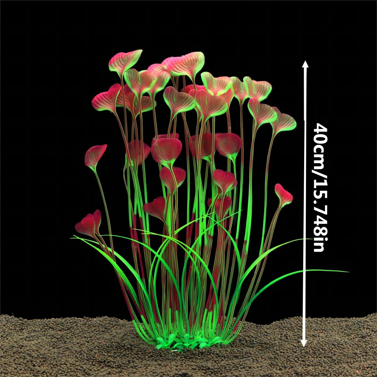 Plantas aquáticas para aquário - Planted Aquarium Materials avaliação e preço