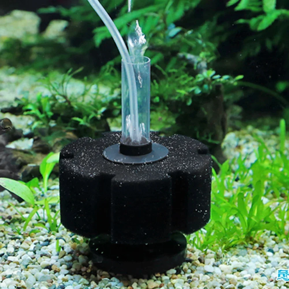 Esponja de Filtro para Aquário - Aquarium Planted Filter avaliação e preço