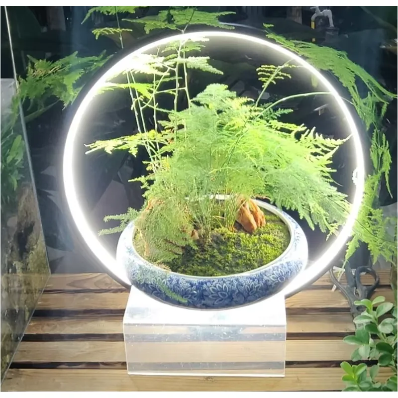 Luminária LED de Mesa para Aqu - Planted Aquarium Hours avaliação e preço