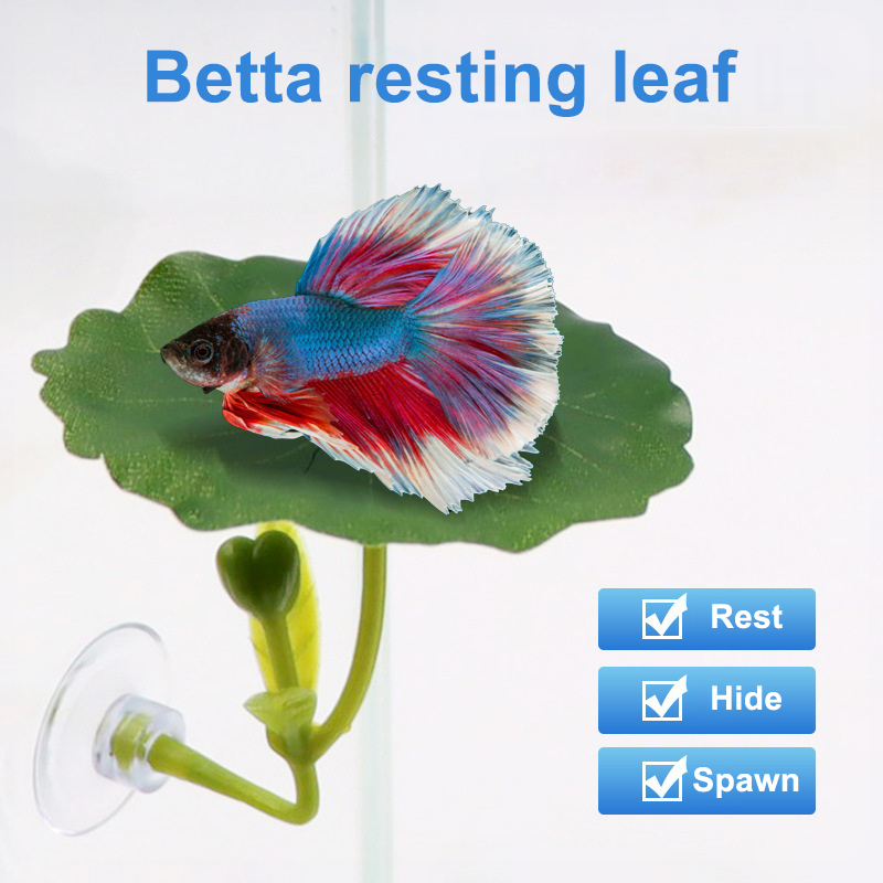 Rede de folhas verdes para pei - Planted Aquarium Betta avaliação e preço