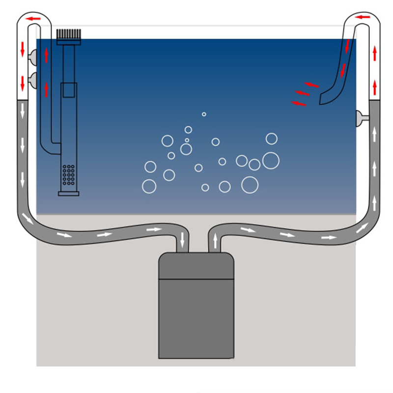 Aço inoxidável Inflow Outflow  - Aquarium Planted Filter avaliação e preço