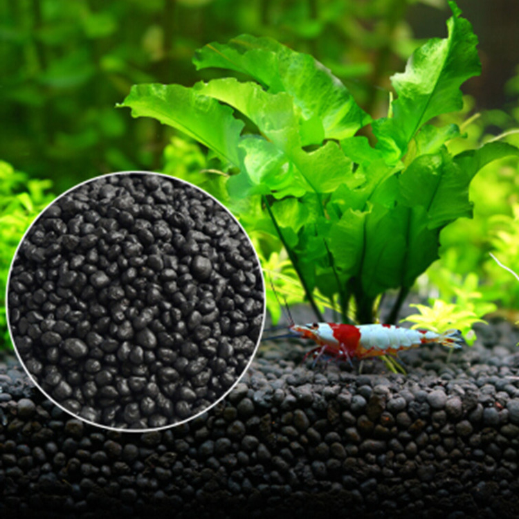 Solo para plantas do tanque de - Aquarium Plants Book avaliação e preço