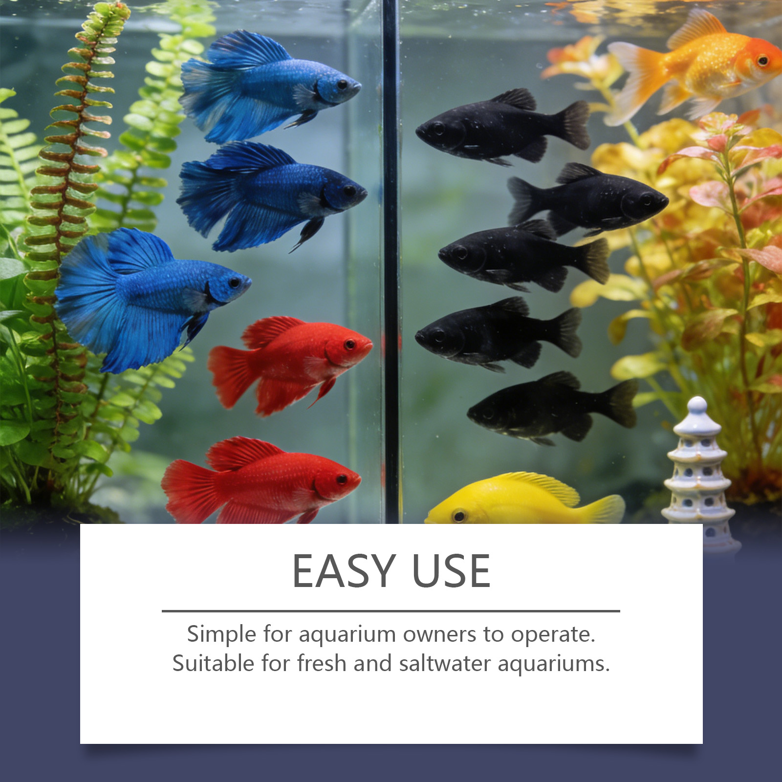Comprimidos Removedores de Alg - Planted Aquarium Algae Remover avaliação e preço