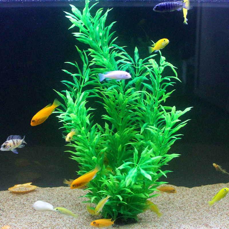 Plantas Artificiais Raras para - Aquarium Plants Book avaliação e preço