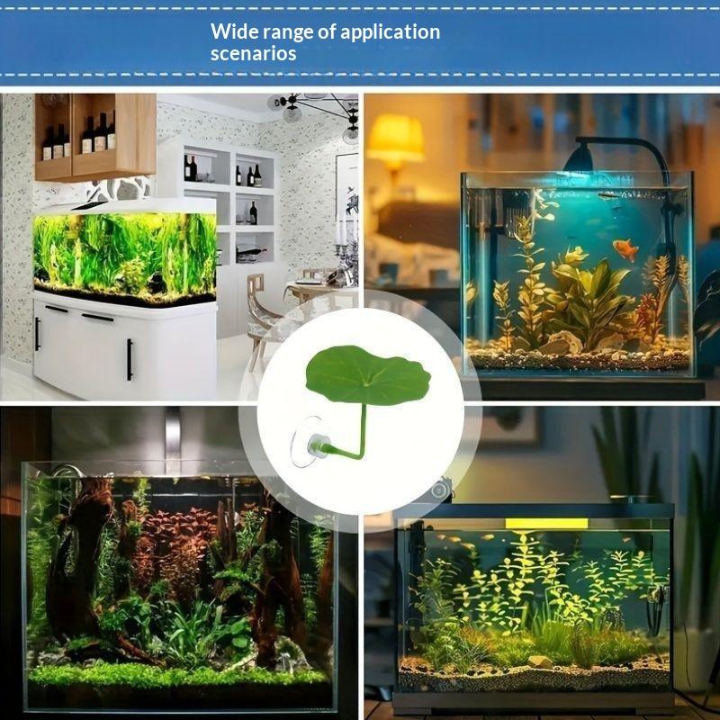 3/5/10 PCS Folha de Lótus Simu - Planted Aquarium Betta avaliação e preço