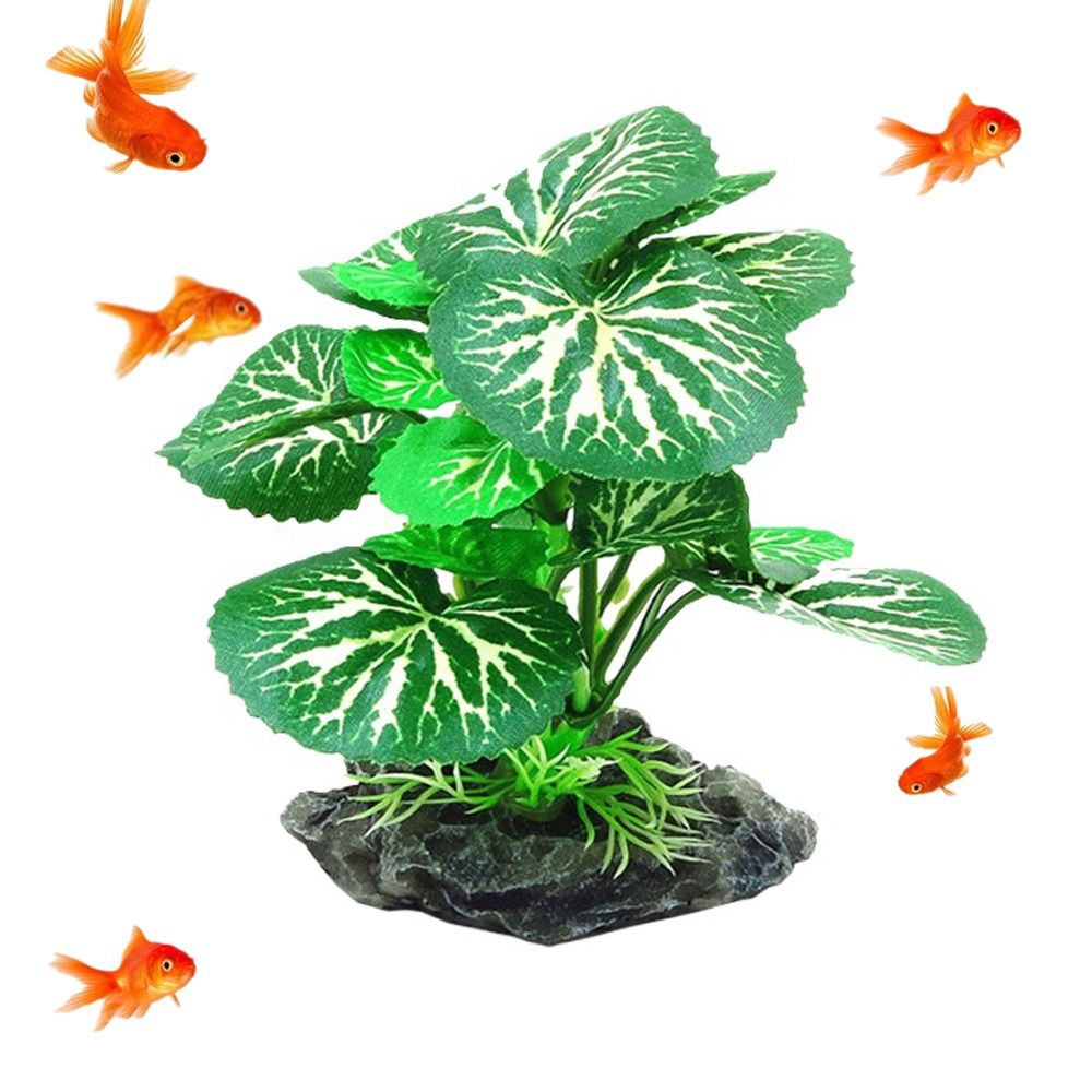 Plantas de Aquário em Material - Planted Aquarium Materials avaliação e preço