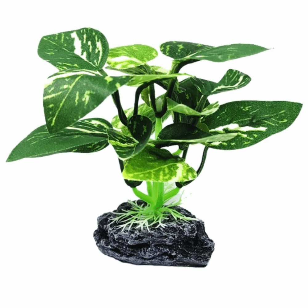 Plantas de Aquário em Material - Planted Aquarium Materials avaliação e preço