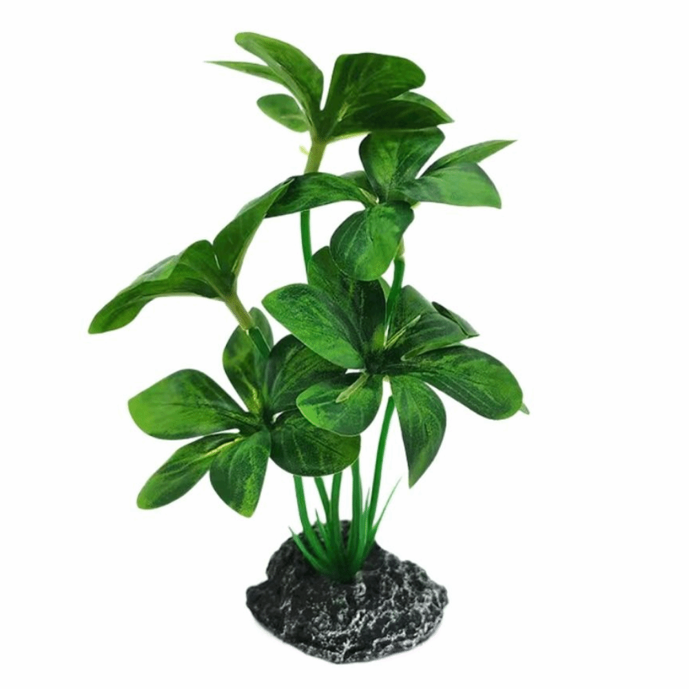 Plantas de Aquário em Material - Planted Aquarium Materials avaliação e preço