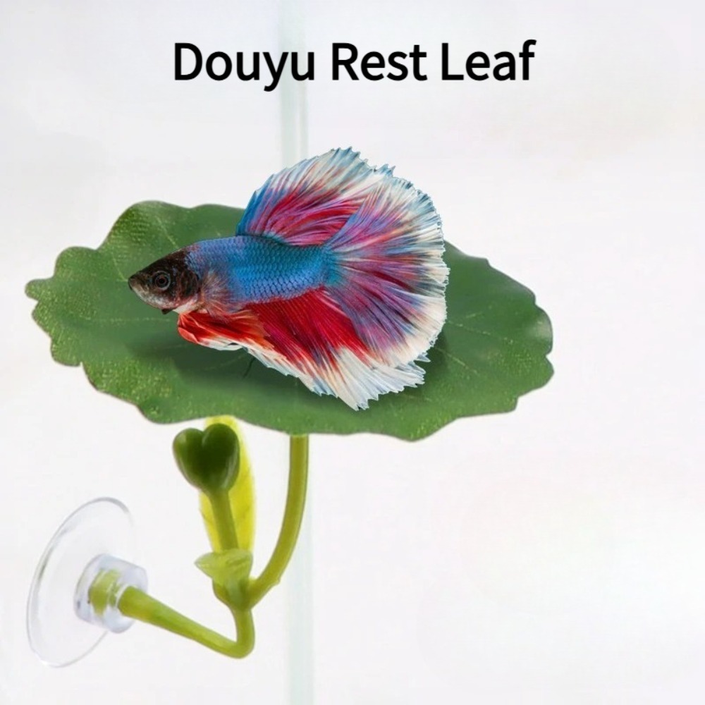 1 unidade de rede para peixe b - Planted Aquarium Betta avaliação e preço