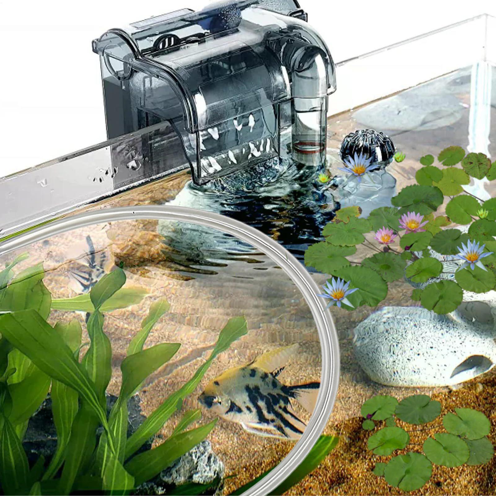 Barreira Flutuante para Planta - Planted Aquarium Betta avaliação e preço