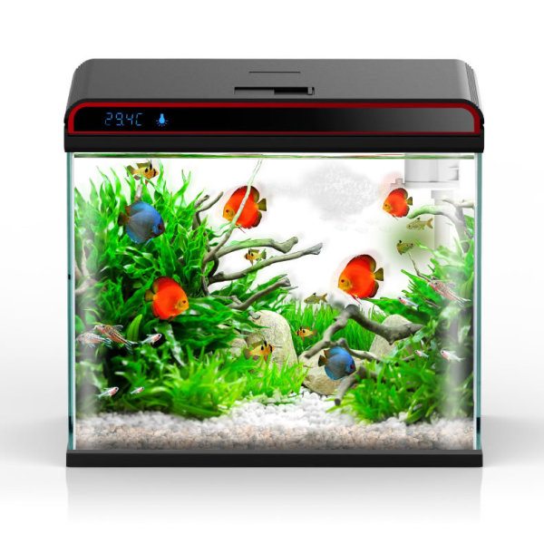 Condicionador de água para aqu - Planted Aquarium Algae Remover avaliação e preço