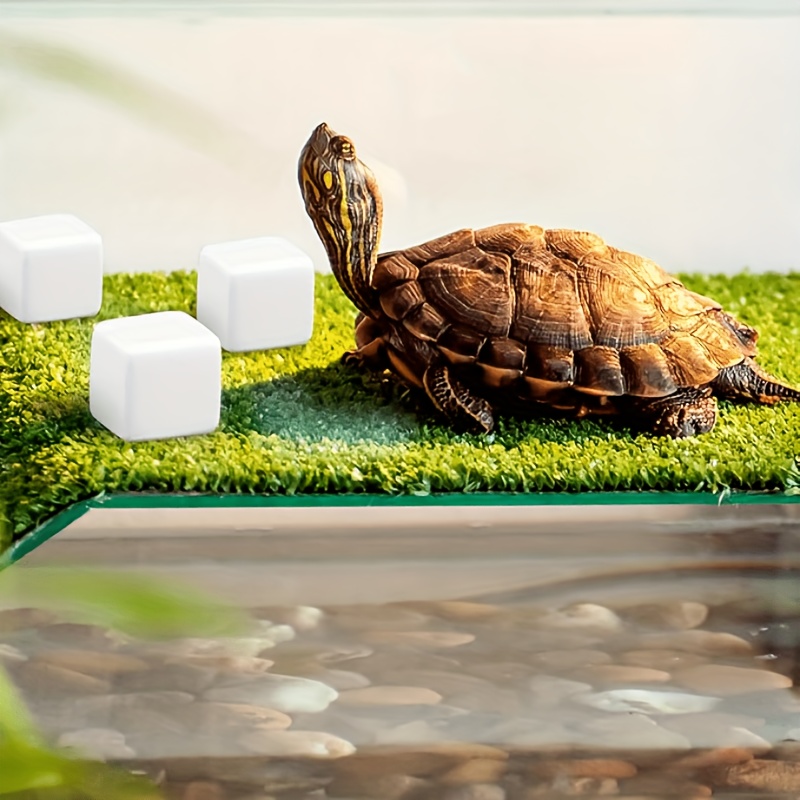 6 pçs tanque de peixes bloco d - Aquarium Plant Live avaliação e preço
